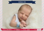 Varga Vid