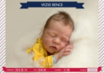 Vezse Bence