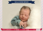 Szula Ádám Bende