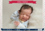 Király Rebeka